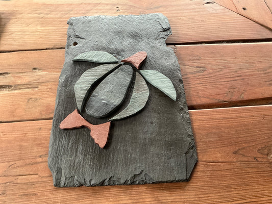 slate turtle